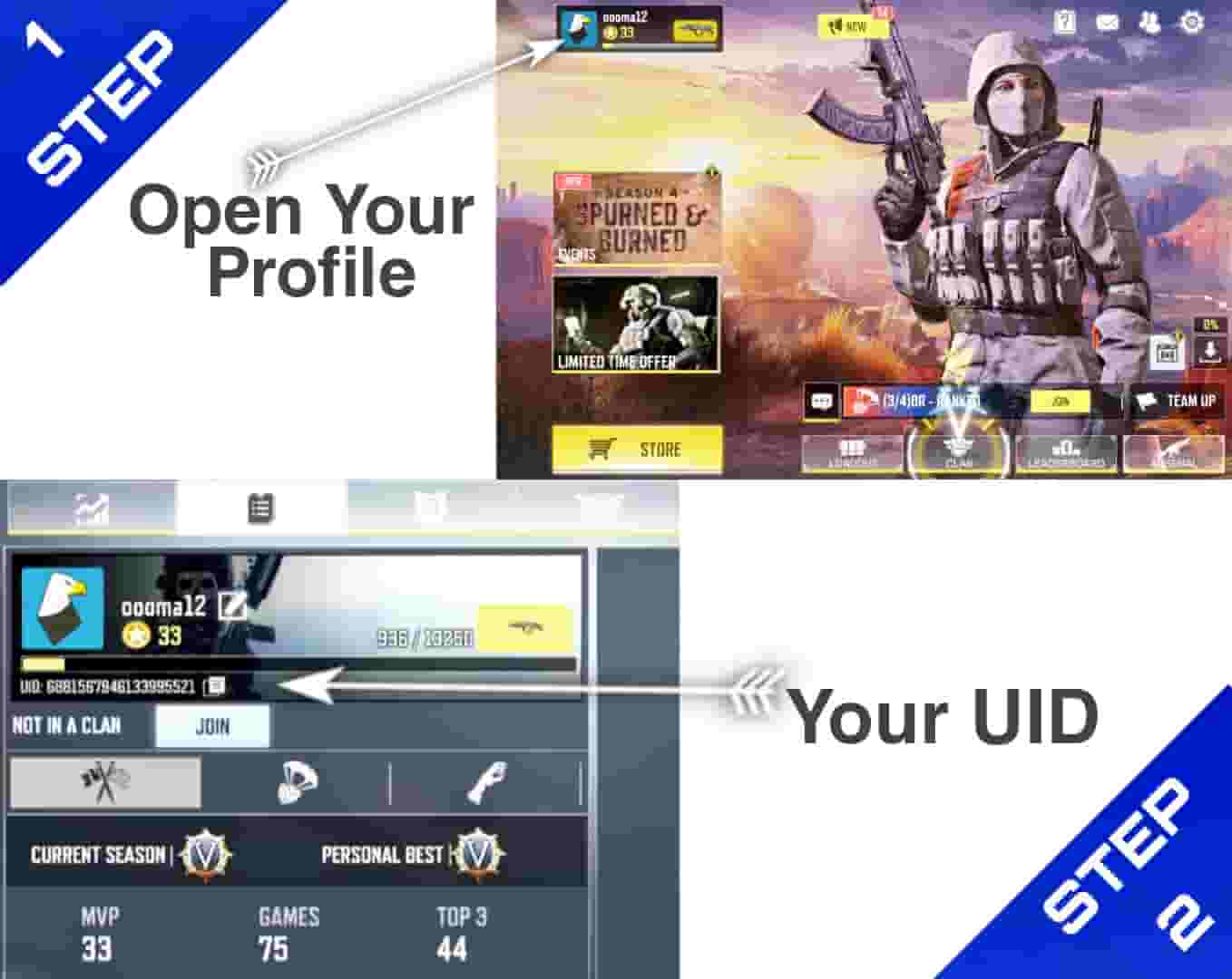How To Find Call Of Duty Mobile UID In Hindi