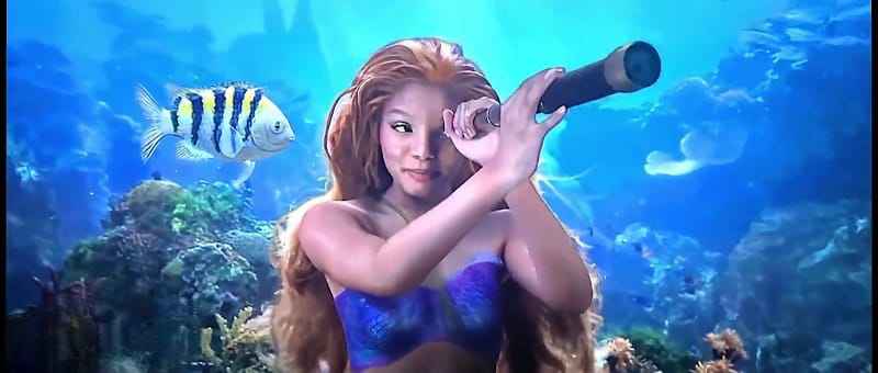 Halle Bailey The Little Mermaid Movie Download